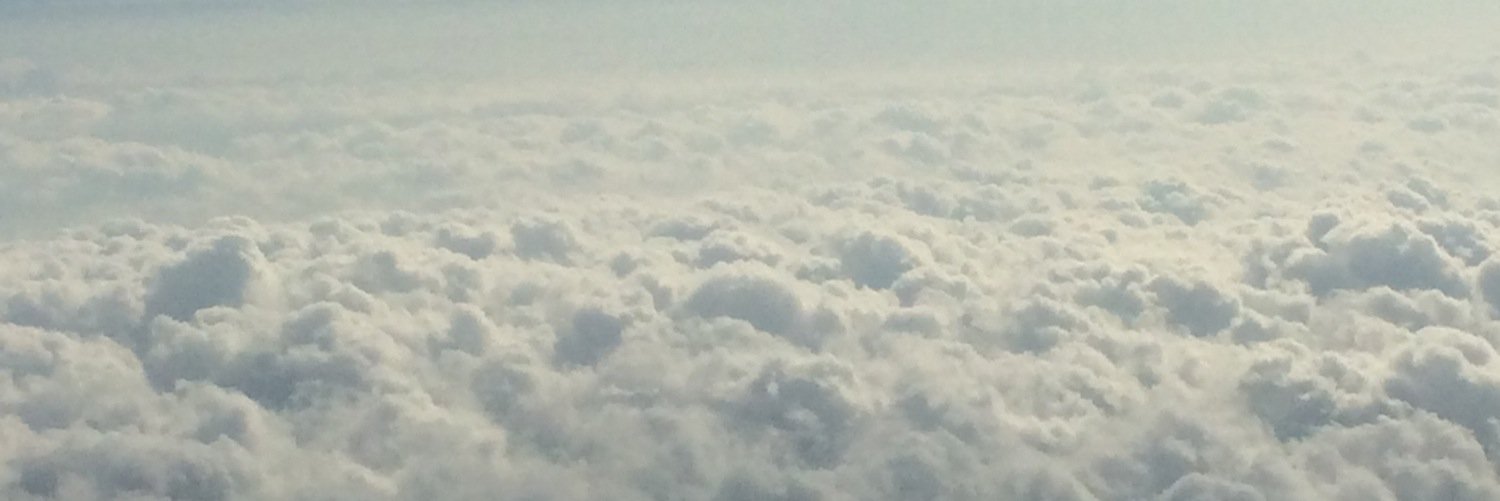 Sofia Boström banner