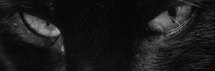 ؘ banner