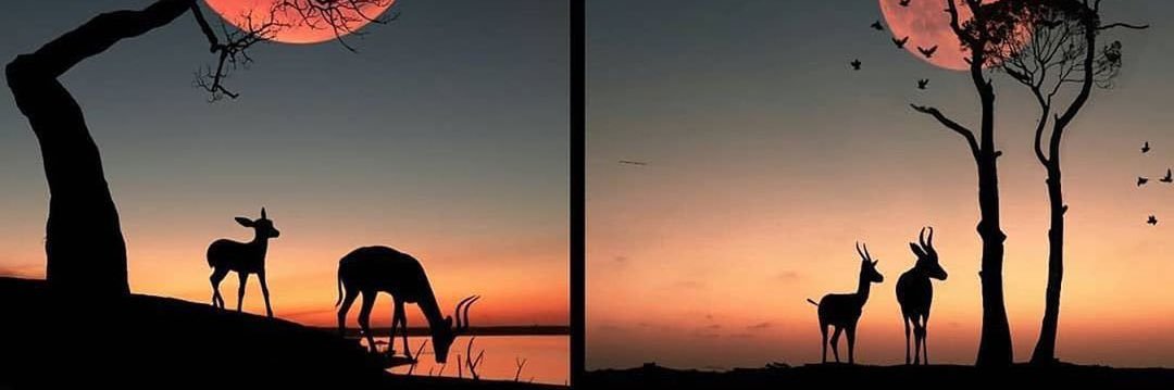 chris96hn's profile banner image