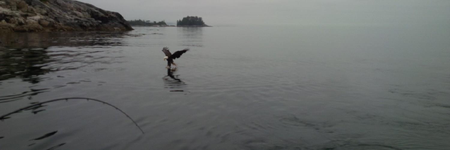 ian_wrightson's profile banner image