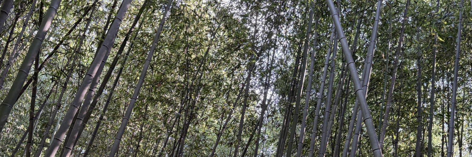 kekekeseele's profile banner image