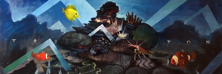 Triton OES banner