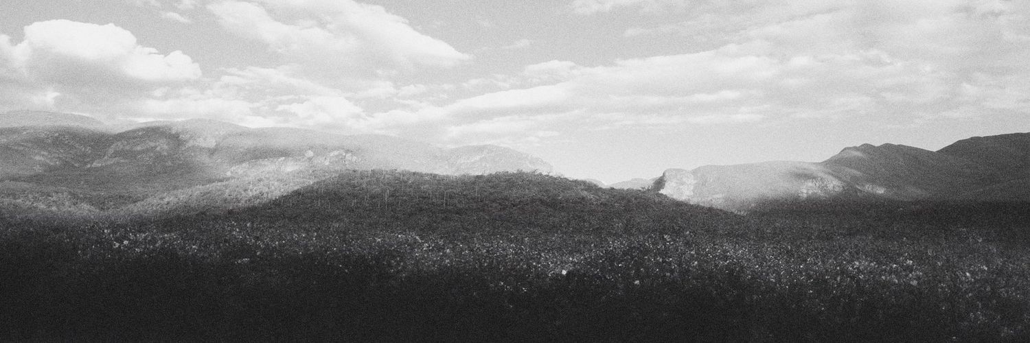 Fddlv's profile banner image