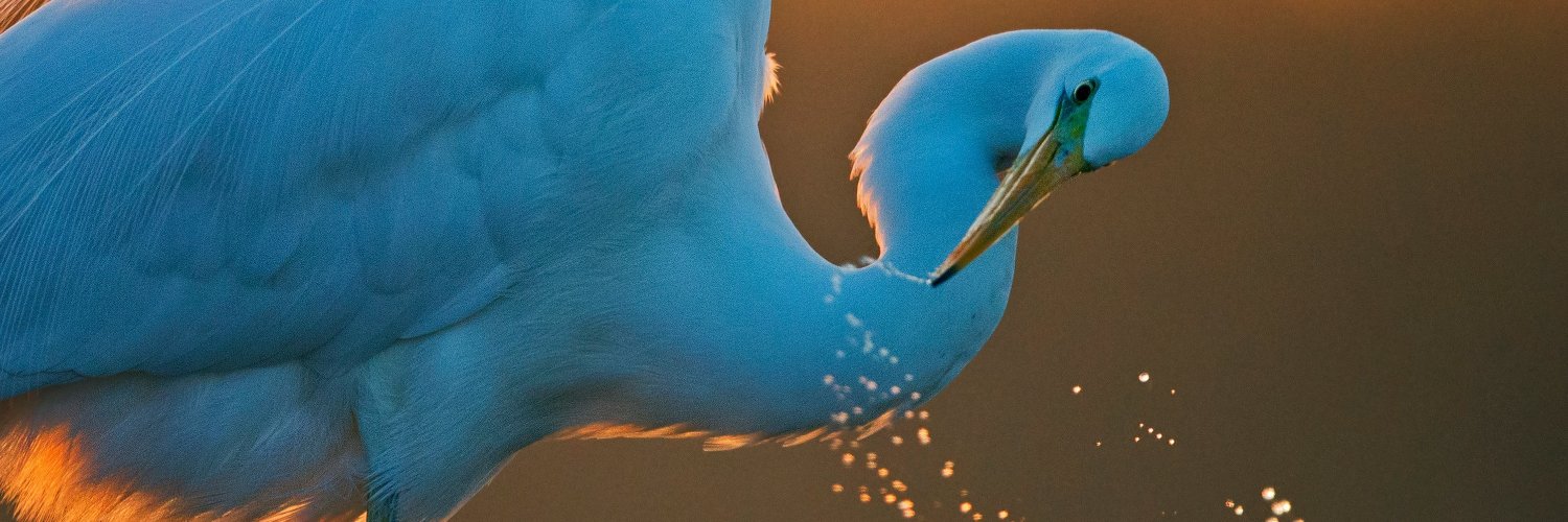 gmo20691's profile banner image