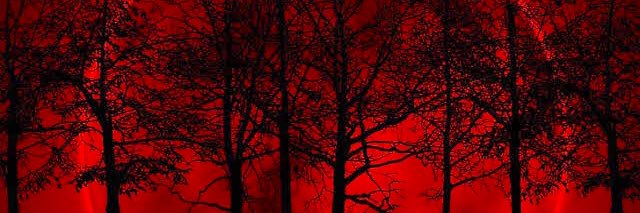 𝐹𝑟𝑢𝑡𝑠𝑖🍒 banner