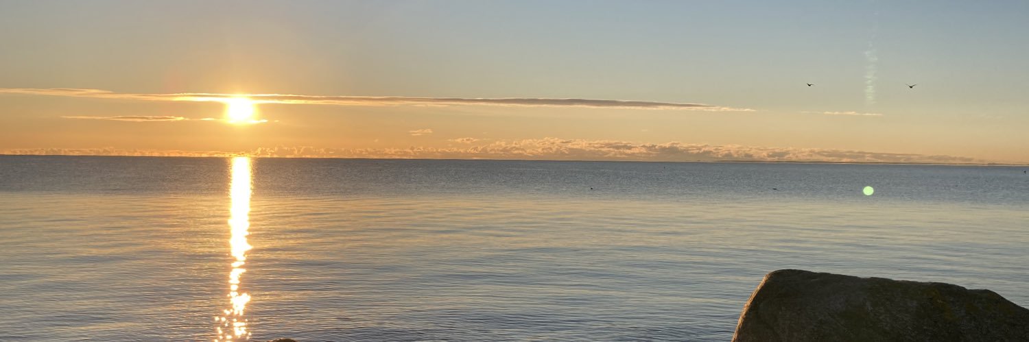 twbrixen's profile banner image