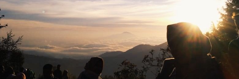 sweetypao's profile banner image