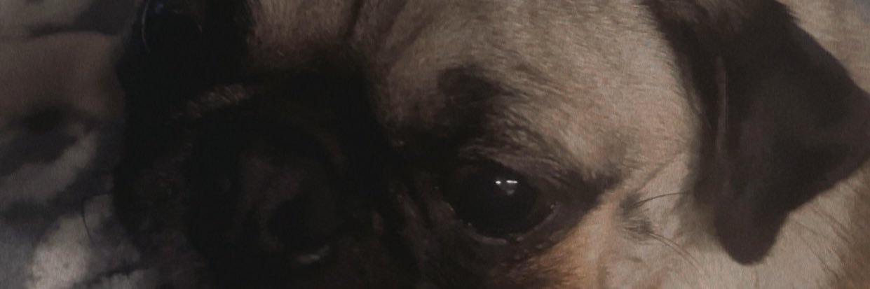 kaiiii02's profile banner image
