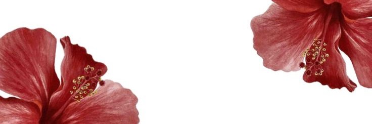 suwejv's profile banner image