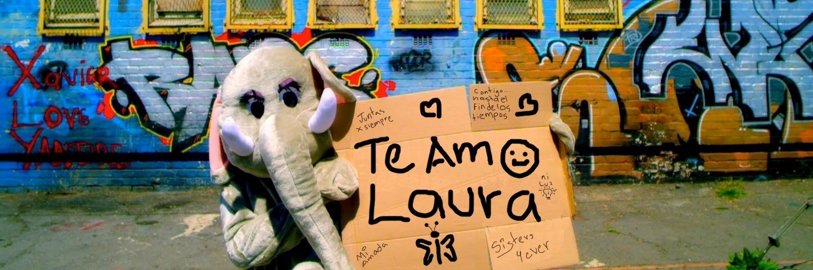 laura_aboyte's profile banner image