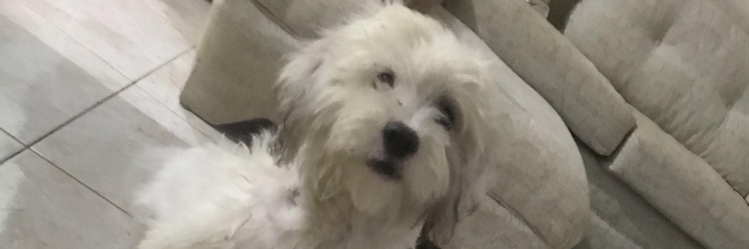 unrulyter.dev👩🏿‍💻 banner