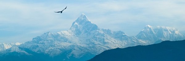 ayadav_climate Profile Banner