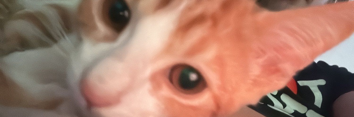 caiopag's profile banner image