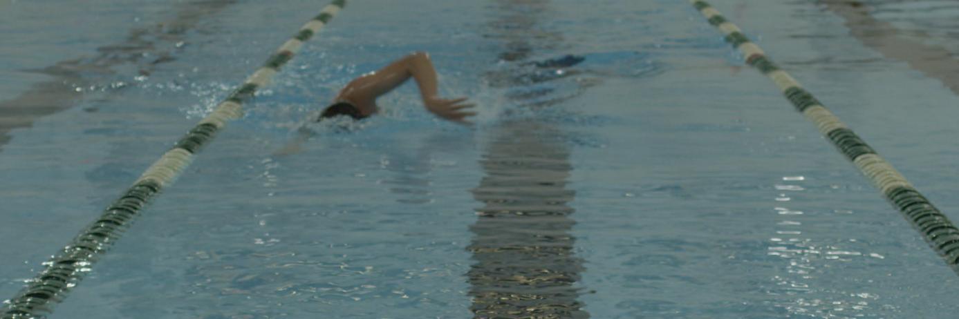 SwimSignal's profile banner image