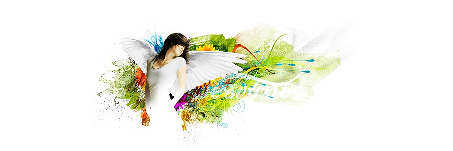 webreward's profile banner image