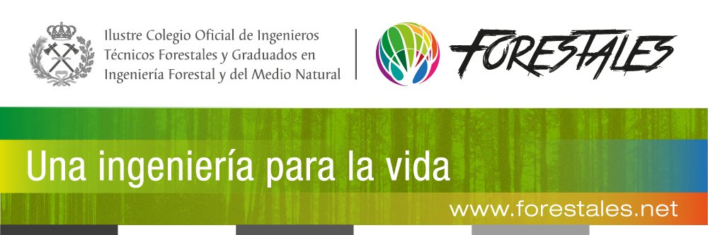IngForestal50's profile banner image