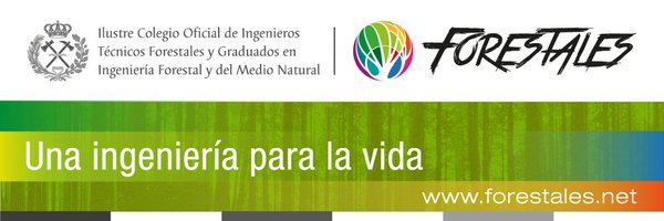 IngForestal50 Profile Banner