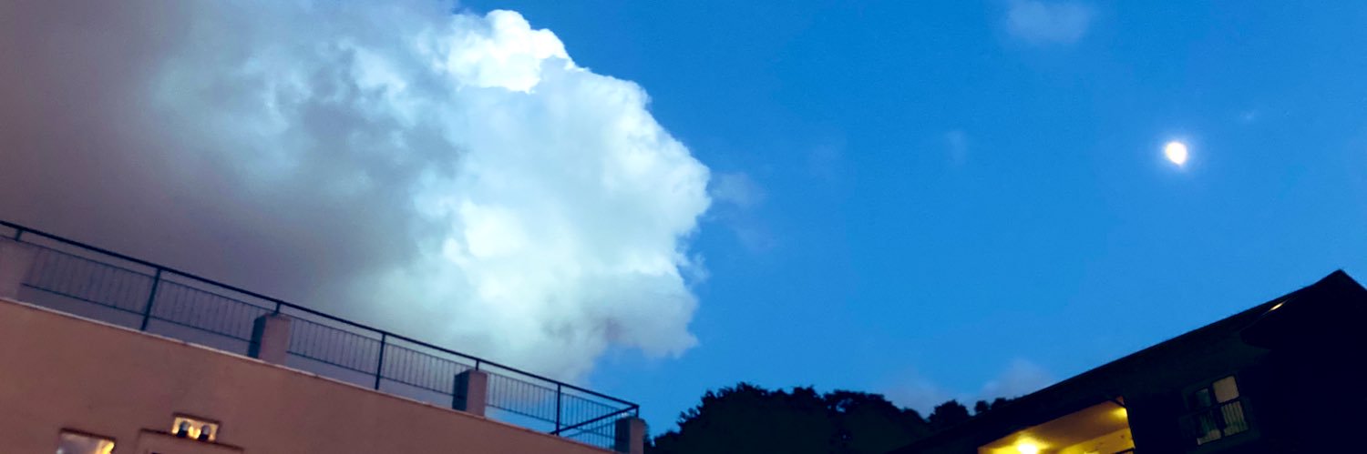 knh_o's profile banner image