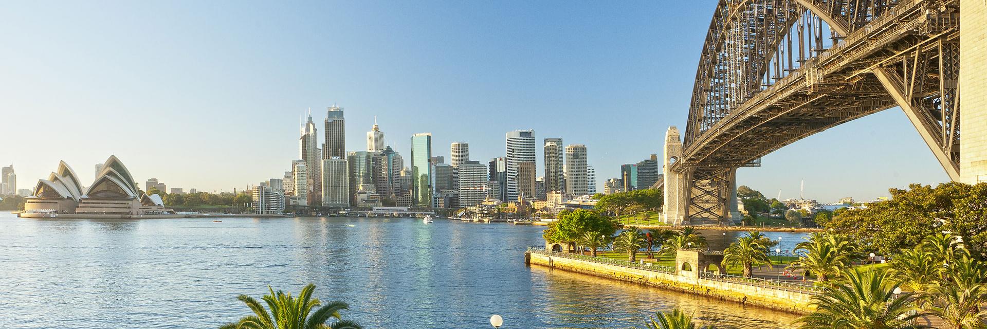 Miranda Divine banner