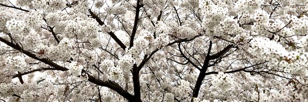 MolBavar Profile Banner