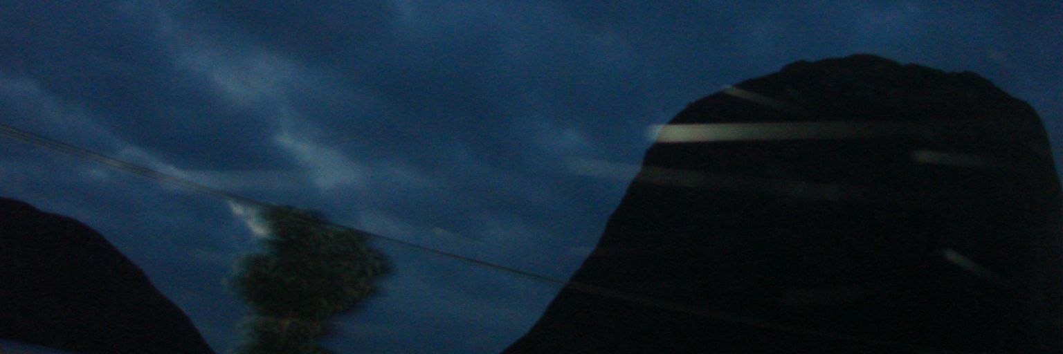 BlueEyesStray's profile banner image