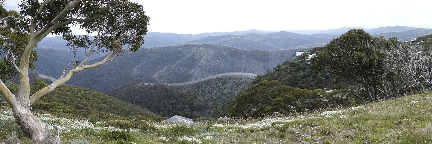 Cameron (@camster.bsky.social) banner