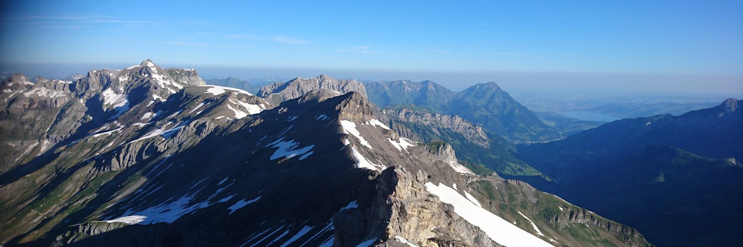 Walpurga Müller-Schm banner