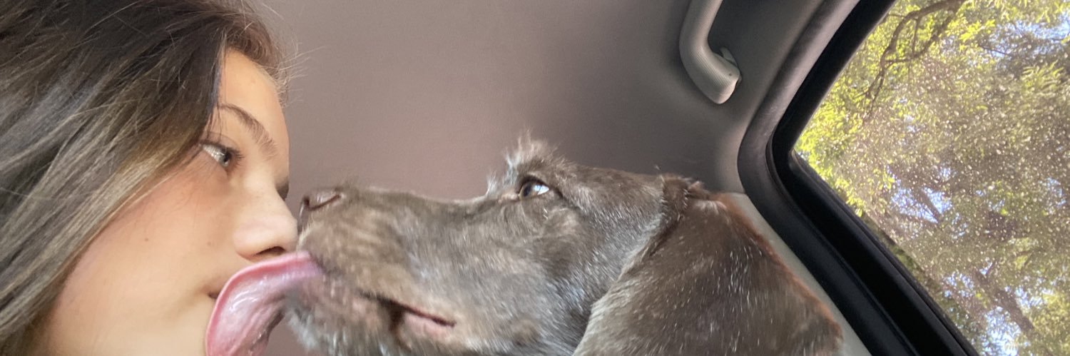violepoliche's profile banner image