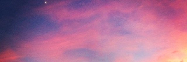 _honeill's profile banner image