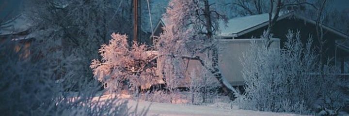 seliyasmine's profile banner image