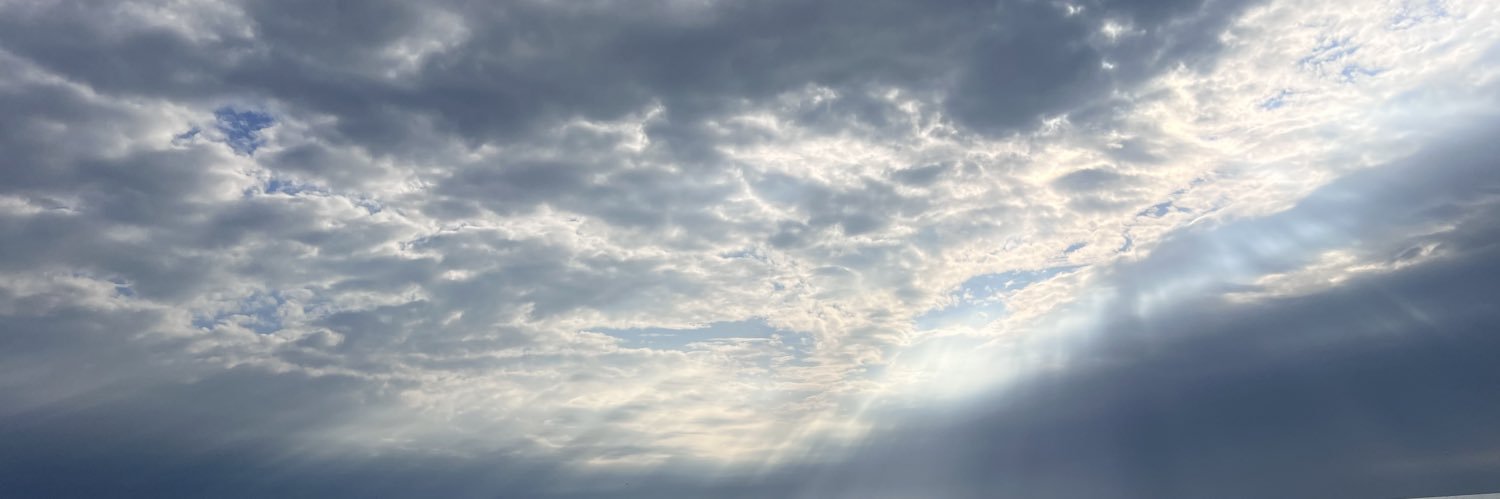 devdevdalton's profile banner image