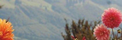kuldeebie's profile banner image