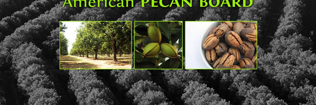 American Pecan banner