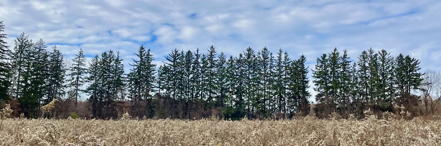 marlarose11's profile banner image
