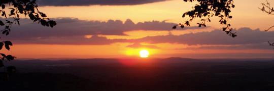 Retweet Cheltenham banner