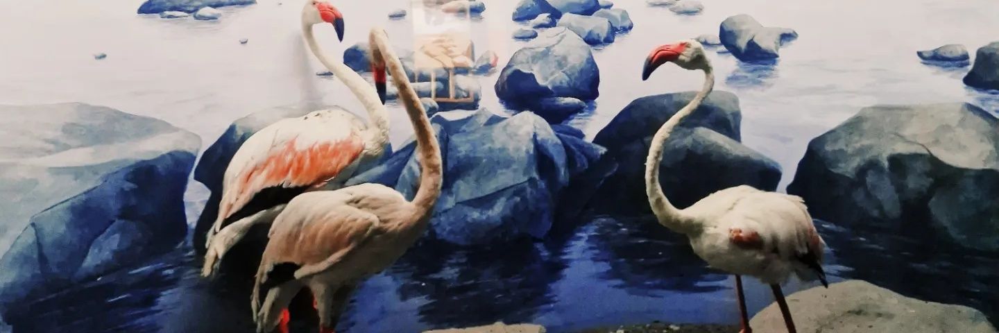 olafyutu's profile banner image