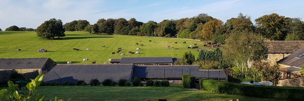 RebNichells Profile Banner