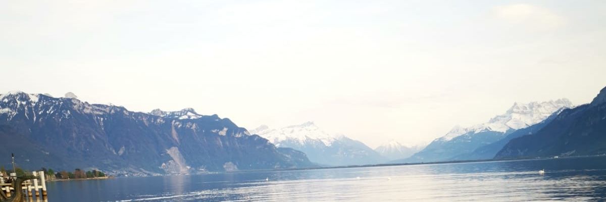 Irosellmor's profile banner image