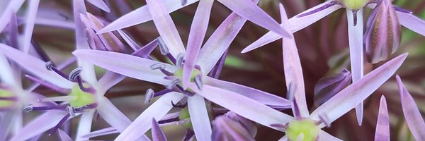 MartinTehnik Profile Banner