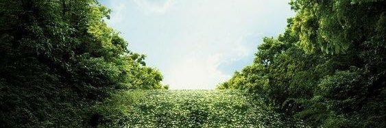 DietekevH's profile banner image