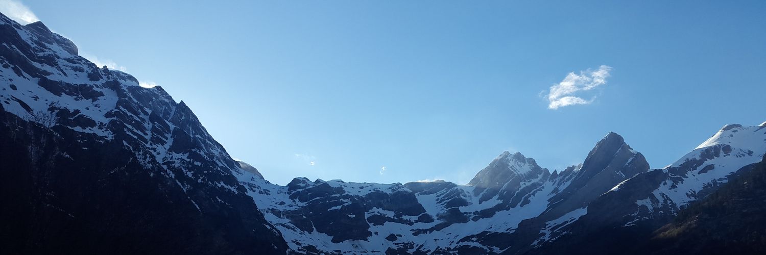 pvidallopez's profile banner image