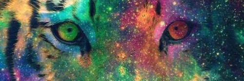 Lalaoliol's profile banner image