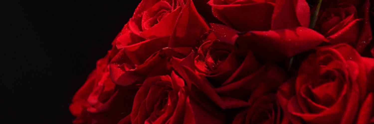 vinoth_moorthy's profile banner image