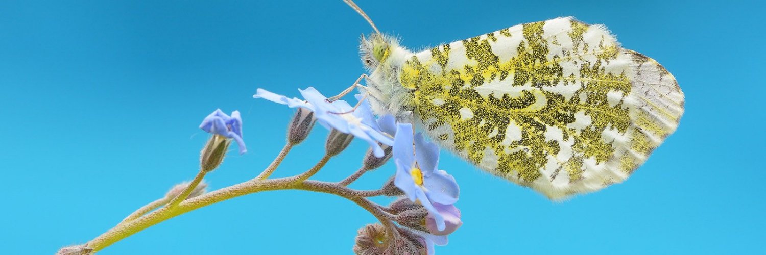 LoyErickson's profile banner image