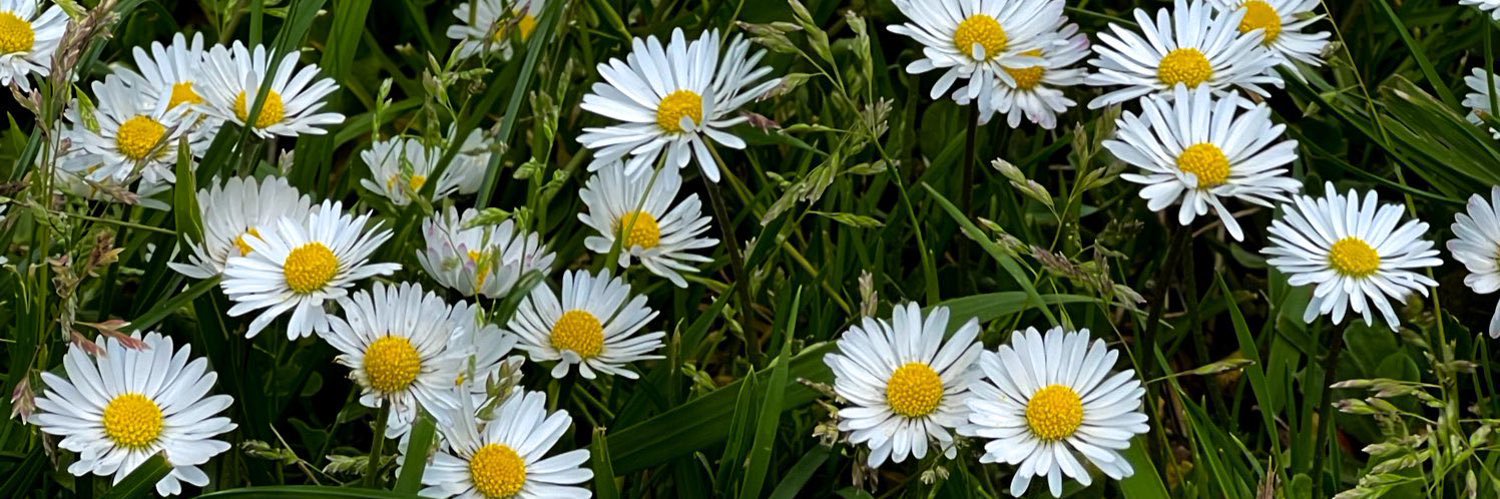 Mossy39's profile banner image