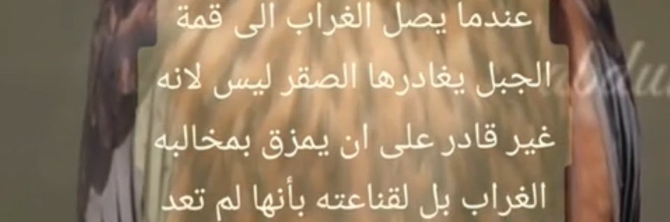 abuasdm's profile banner image