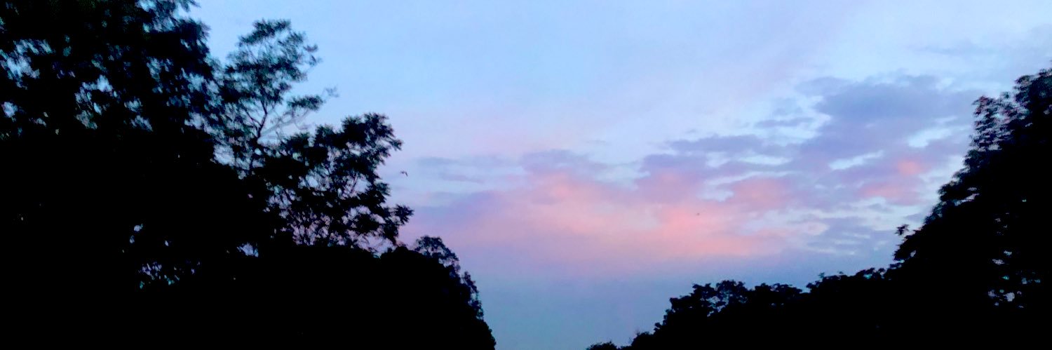 qxmaa_'s profile banner image