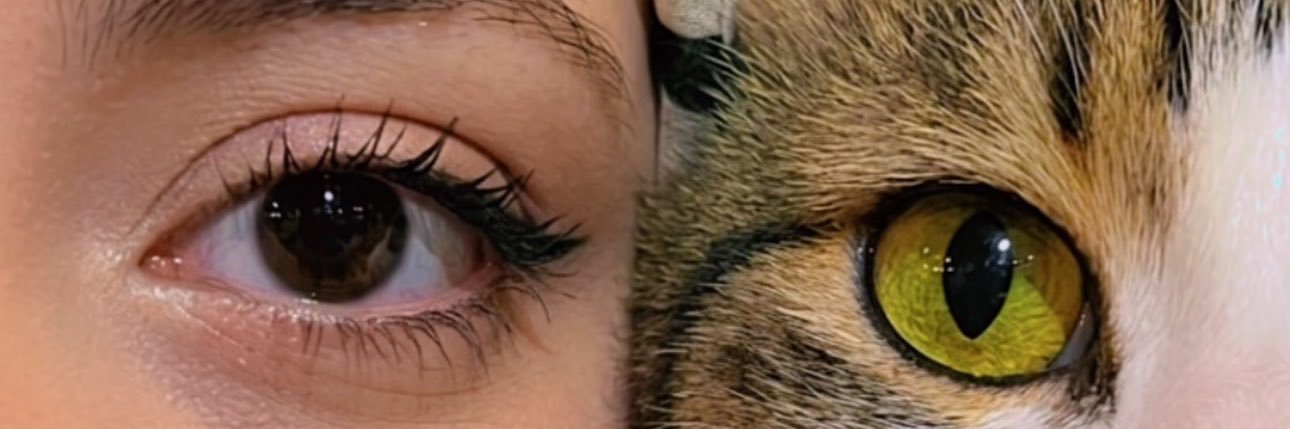 silayesiloglu5's profile banner image