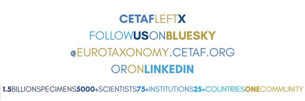 eurotaxonomy Profile Banner