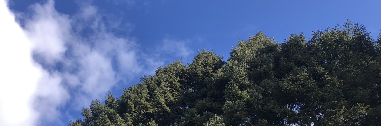 atimen's profile banner image